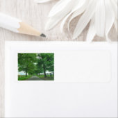 Kentucky Bluegrass (Insitu)