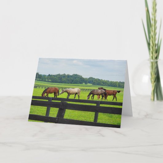 Kentucky Bluegrass card Karte (Vorderseite)
