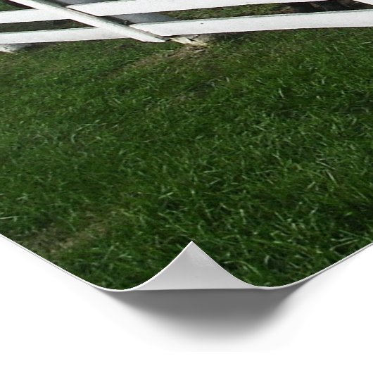 Kentucky Bluegrass Country Poster (Ecke)