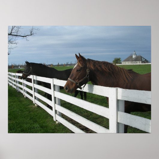 Kentucky Bluegrass Country Poster (Vorne)