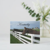 Kentucky Bluegrass Country Postkarte (Stehend Vorderseite)