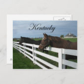 Kentucky Bluegrass Country Postkarte (Vorne/Hinten)