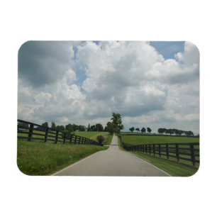 Kentucky Bluegrass Magnet