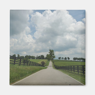 Kentucky Bluegrass Magnet