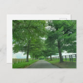 Kentucky Bluegrass Postkarte (Vorne/Hinten)