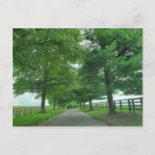 Kentucky Bluegrass Postkarte (Vorderseite)
