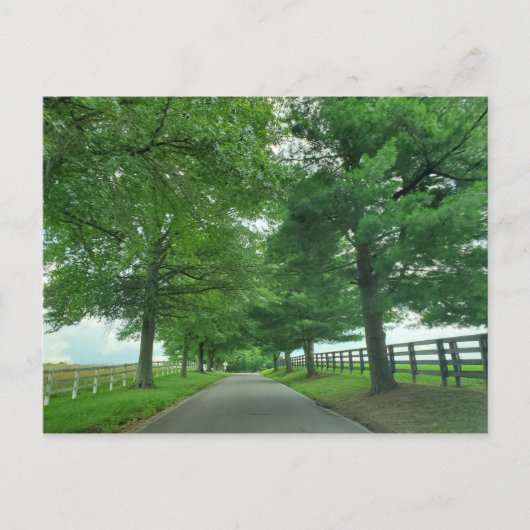 Kentucky Bluegrass Postkarte (Vorderseite)