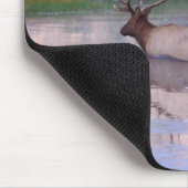 Kentucky-Elche Mousepad (Ecke)