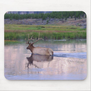 Kentucky-Elche Mousepad