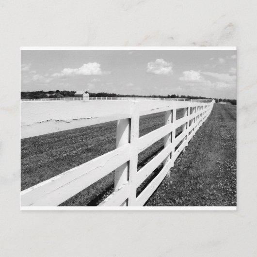 Kentucky Fences Postkarte (Vorderseite)