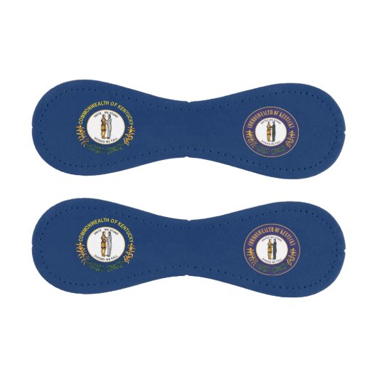 Kentucky-Flagge Baseball (Paneele)