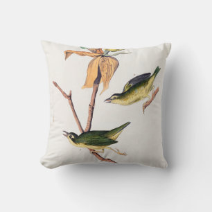 Kentucky-Fliegenschnäpper-Warbler-Vögel-Illustrati Kissen