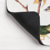Kentucky Fly fing Warbler Birds Illustration Mousepad (Ecke)