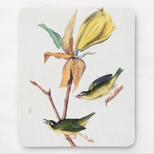 Kentucky Fly fing Warbler Birds Illustration Mousepad (Vorne)