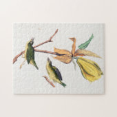 Kentucky Fly fing Warbler Birds Illustration Puzzle (Horizontal)