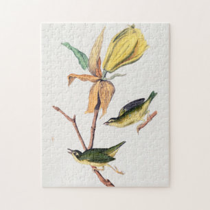 Kentucky Fly fing Warbler Birds Illustration Puzzle