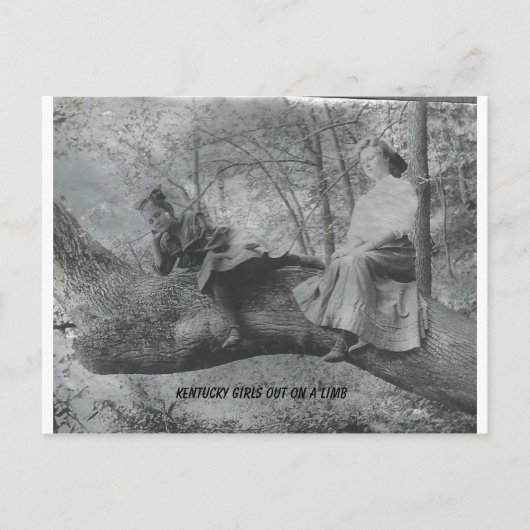 Kentucky Girls auf einem Limb Postkarte (Vorderseite)