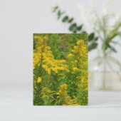 Kentucky Goldenrod Postkarte (Stehend Vorderseite)