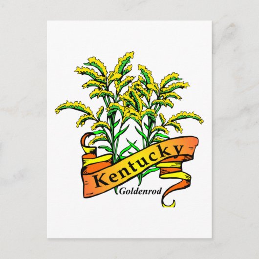 Kentucky Goldenrod Postkarte (Vorderseite)