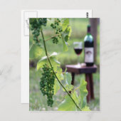 Kentucky Grapes Postkarte (Vorne/Hinten)