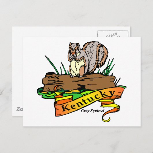 Kentucky-Grauhörnchen Postkarte (Vorne/Hinten)