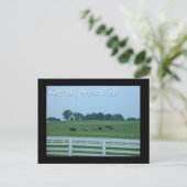 Kentucky Horse Park Postkarte (Stehend Vorderseite)