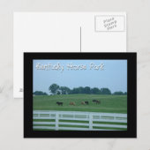 Kentucky Horse Park Postkarte (Vorne/Hinten)