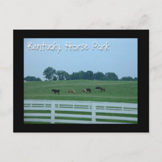 Kentucky Horse Park Postkarte