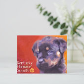 Kentucky Humane Society Postkarte (Stehend Vorderseite)