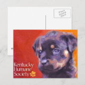 Kentucky Humane Society Postkarte (Vorne/Hinten)
