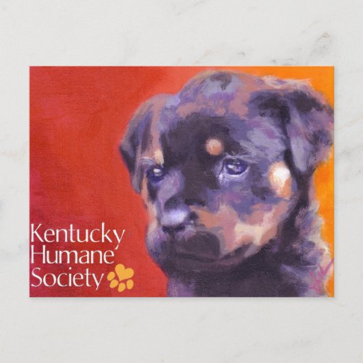 Kentucky Humane Society Postkarte (Vorderseite)