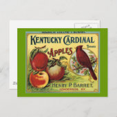 Kentucky Kardinal Bird Postkarte (Vorne/Hinten)