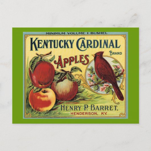 Kentucky Kardinal Bird Postkarte (Vorderseite)