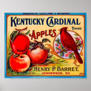 Kentucky Kardinal Vintages Fruchtkorsetetikett Poster