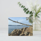 Kentucky Lake Shoreline Post Card Postkarte (Stehend Vorderseite)