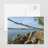 Kentucky Lake Shoreline Post Card Postkarte (Vorne/Hinten)