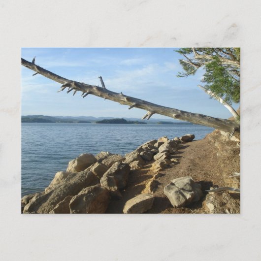 Kentucky Lake Shoreline Post Card Postkarte (Vorderseite)