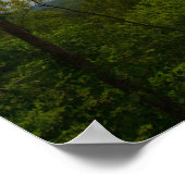 Kentucky Landschaft Poster (Ecke)