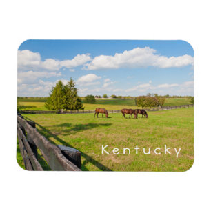 Kentucky, Pferde auf Pferdefarm Foto Magnet