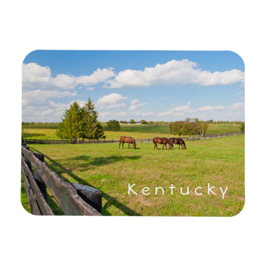 Kentucky, Pferde auf Pferdefarm Foto Magnet (Horizontal)