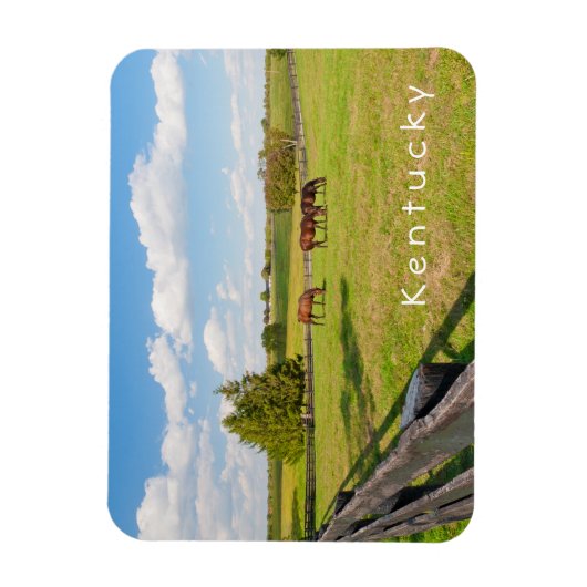 Kentucky, Pferde auf Pferdefarm Foto Magnet (Vertikal)