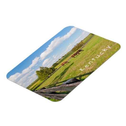 Kentucky, Pferde auf Pferdefarm Foto Magnet (Linke Seite)
