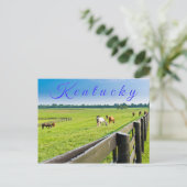 Kentucky Postcard. Pferde auf Pferdefarm. Postkarte (Stehend Vorderseite)