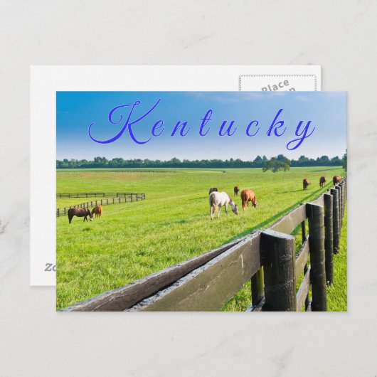 Kentucky Postcard. Pferde auf Pferdefarm. Postkarte (Vorne/Hinten)