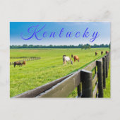 Kentucky Postcard. Pferde auf Pferdefarm. Postkarte (Vorderseite)