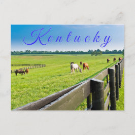 Kentucky Postcard. Pferde auf Pferdefarm. Postkarte