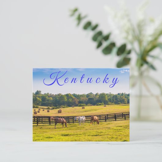 Kentucky Postcard. Pferde auf Pferdefarm. Postkarte (Stehend Vorderseite)