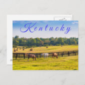 Kentucky Postcard. Pferde auf Pferdefarm. Postkarte (Vorne/Hinten)