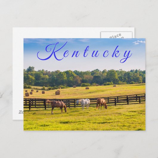 Kentucky Postcard. Pferde auf Pferdefarm. Postkarte (Vorne/Hinten)