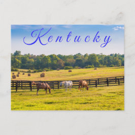 Kentucky Postcard. Pferde auf Pferdefarm. Postkarte